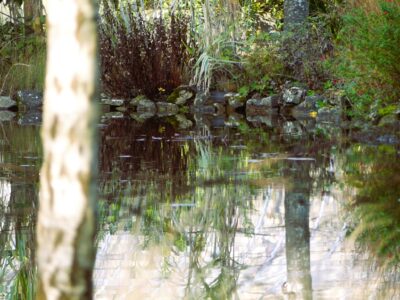 Jardin Paysagé d'Amélie